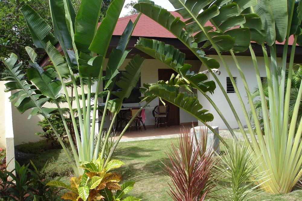 Alona Swiss Resort Đảo Đảo Panglao Ngoại thất bức ảnh